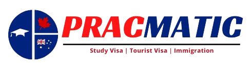 Pracmatic Immigration